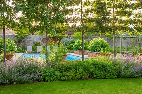 THE_COACH_HOUSESURREYESPALIERED_MALUS_RUDOLPH_BESIDE_POOL_WITH_NEPETA_SIX_HILLS_GIANT__ALCHEMILLA_MO