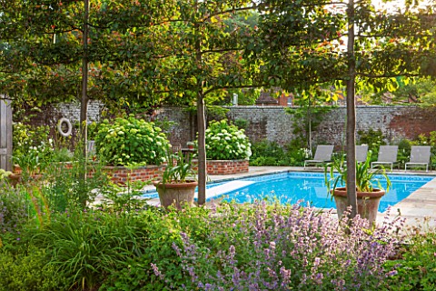 THE_COACH_HOUSE_SURREY_WALLED_SWIMMING_POOL_AREA_WITH_ESPALIERED_MALUS_RUDOLPH__NEPETA_SIX_HILLS_GIA