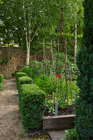 THE_LODGE_BURFORD_OXFORDSHIRE_RAISED_VEGETABLE_BEDS_WITH_SWEET_PEAS_MARIGOLDS_AND_PARSLEY_WITH_CLIPP