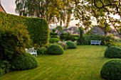 GREYHOUNDS, BURFORD, OXFORDSHIRE:THE MAIN BORDERS AND LAWN IN DAWN LIGHT.FRAMED BY YEW TOPIARY, HORNBEAM AND CLIPPED BOX. WITH WOODEN BENCH. A PLACE TO SIT, SUMMER, GARDEN, CLASSIC