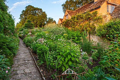 GREYHOUNDS_BURFORD_OXFORDSHIRE_PATH_ALONGSIDE_THE_NEWLY_REPLANTED_BORDER_WITH_CRAMBE_AND_CICERBITA_P