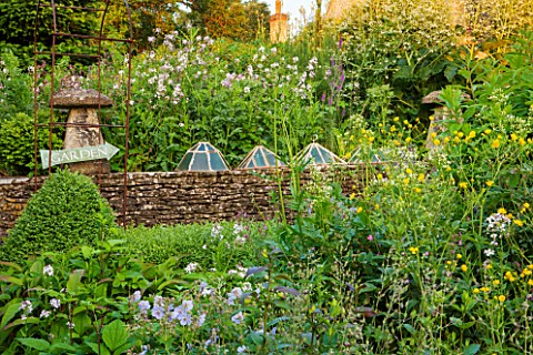 GREYHOUNDS_BURFORD_OXFORDSHIRE_DRY_STONE_WALL_WITH_OLD_GLASS_CLOCHES_AND_BORDER_BEHOND_WITH_HESPERIS