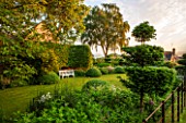 GREYHOUNDS, BURFORD, OXFORDSHIRE: WOODEN BENCH/SEAT NESTLED AMONG HORNBEAM AND CLIPPED BOX ENCLOSURES. YEW TOPIARY. CLASSIC, COUNTRY GARDEN, SUMMER, DAWN LIGHT