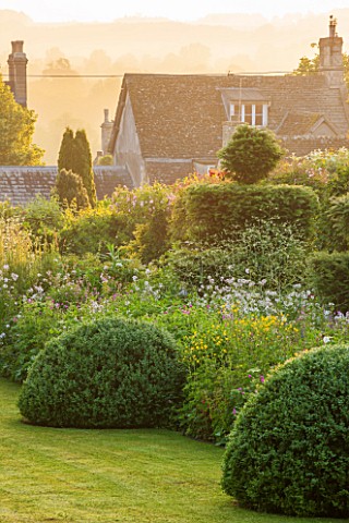 GREYHOUNDS_BURFORD_OXFORDSHIRE_DAWN_LIGHT_ON_COTTAGE_GARDEN_BORDER_WITH_YEW_TOPIARY_AND_BOX_DOMES_IN
