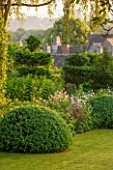 GREYHOUNDS, BURFORD, OXFORDSHIRE: DAWN LIGHT ON COTTAGE GARDEN BORDER WITH YEW TOPIARY AND BOX DOMES. INFORMAL PLANTING, CLASSIC, SUMMER.