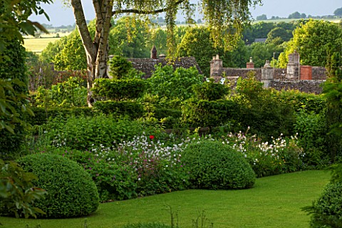 GREYHOUNDS_BURFORD_OXFORDSHIRE_COTTAGE_STYLE_LAWN_AND_BORDER_BOX_DOMES_YEW_TOPIARY_WITH_GERANIUMS_AN