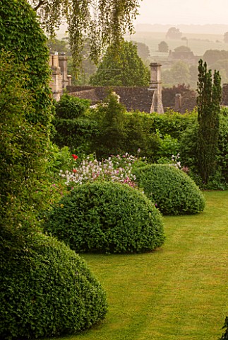 GREYHOUNDS_BURFORD_OXFORDSHIRE_BOX_DOMES_AND_BORDER_IN_CLASSIC_COUNTRY_GARDEN_INFORMAL_PLANTING_SUMM
