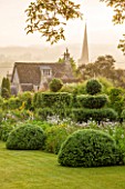 GREYHOUNDS, BURFORD, OXFORDSHIRE: CLASSIC COUNTRY GARDEN WITH BOX DOMES AND YEW TOPIARY. DAWN LIGHT, SUMMER, BORDERS WITH COTTAGE GARDEN PLANTS.