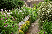 GREYHOUNDS, BURFORD:LIMESTONE FLAGGED PATH LEADS FROM THE SOUTH FACING COURTYARD.BORDERS EITHER SIDE WITH COTTAGE GARDEN PLANTS & WINTER CLOCHES.GERANIUM PSILOSTEMON & POTENTILLA