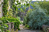 OXLEAZE FARM, OXFORDSHIRE: STONE TERRACE WITH ELAEAGNUS QUICKSILVER AND VITIS COGNETIAE LEADING TO WOODEN GARDEN DOOR/GATE. SUMMER, GREEN, PLANTS, SILVER LEAVED