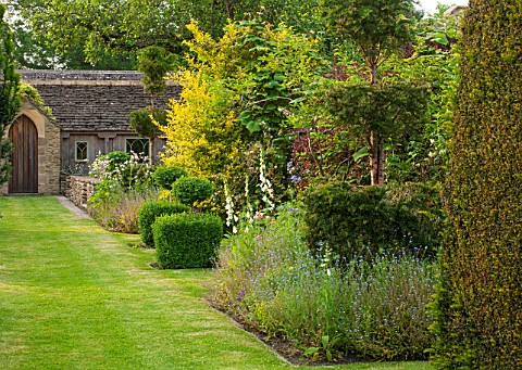 OXLEAZE_FARM_OXFORDSHIRE_THE_POTTING_SHED_WALK_WITH_MIXED_SHRUB_BED_AND_CLIPPED_BOX_AND_YEW_SHAPES_T