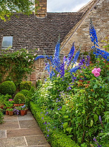 RADFORDS_BURFORD_OXFORDSHIREBORDER_WITH_ROSES_AND_DELPHINIUMSBOX_TOPIARY_IN_CONTAINERS_AND_STONE_PAT