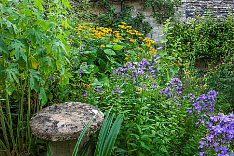 GREYHOUNDS_BURFORD_OXFORDSHIRE_STADDLE_STONE_BESIDE_THE_BOTHY_BORDER_WITH_BLUE_CAMPANULA_AND_INULA_M