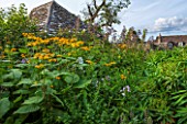 GREYHOUNDS, BURFORD, OXFORDSHIRE: BESIDE THE BOTHY: INULA MAGNIFICA, EUPHORBIA X PASTEURII PHRAMPTON PHATTY. PLANT COMBINATION, PERENNIAL PLANTING, INFORMAL STYLE.