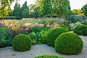 PRIVATE GARDEN, GLOUCESTERSHIRE DESIGNED BY MARCUS BARNETT: TERRACE, GRASSES, ALLIUMS, PERENNIALS, CLIPPED BOX DOMES, SUMMER, GARDEN, COTSWOLDS
