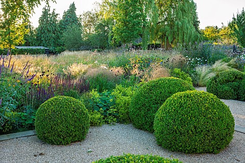 PRIVATE_GARDEN_GLOUCESTERSHIRE_DESIGNED_BY_MARCUS_BARNETT_TERRACE_GRASSES_ALLIUMS_PERENNIALS_CLIPPED