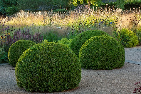 PRIVATE_GARDEN_GLOUCESTERSHIRE_DESIGNED_BY_MARCUS_BARNETT_TERRACE_GRASSES_ALLIUMS_CLIPPED_BOX_DOMES_