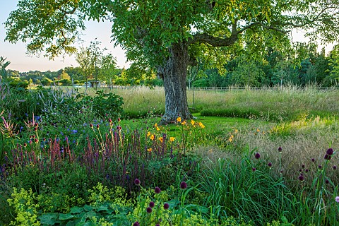 PRIVATE_GARDEN_GLOUCESTERSHIRE_DESIGNED_BY_MARCUS_BARNETT_SUMMER_GARDEN_COTSWOLDS_BORDERS_LAWN_TREES
