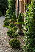 EASTLEACH HOUSE, GLOUCESTERSHIRE: CLIPPED BOX TOPIARY BESIDE FRONT DOOR OF EASTLEACH HOUSE. GREEN, COUNTRY, GARDEN