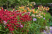 BELMONT HOUSE, SUSSEX - DESIGN ANTHONY PAUL: WALLED GARDEN, FLOWERS, FLOWERING OF RED MONARDA CAMBRIDGE SCARLET, LILIUM AFRICAN QUEEN