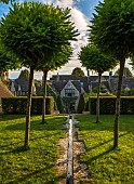 CALENDARS:BURFORD,OXFORDSHIRE:STANDARD ROBINIA UMBRACULIFERA, CLIPPED YEW HEDGING AND RILL IN LAWN WITH VIEW TO HOUSE AND YEW CONES. TREES,GREEN,SUMMER,LIGHT,GARDEN.