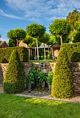 CALENDARS:BURFORD,OXFORDSHIRE:TERRACED GARDEN WITH  RILL.YEW CONES WITH POTTED ZANTEDESCHIA. UPPER TERRACE: YEW HEDGING WITH ROBINIA UMBRACULIFERA & WOODEN ARBOUR WITH HYDRANGEAS.
