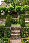 CALENDARS:BURFORD, OXFORDSHIRE:STEPS TO UPPER TERRACES FROM PARTERRE THROUGH ZANTEDESCHIA FILLED WATER POOL WITH CLIPPED YEW.UPPER LEVEL TERRACE WITH STANDARD ROBINIA UMBRACULIFERA