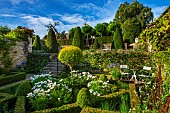 CALENDARS:BURFORD,OXFORDSHIRE:FORMAL BOX PARTERRE WITH WHITE COSMOS & HERBS.POTS OF AGAPANTHUS & SWEET PEAS.UPPER TERRACE WITH YEW CONES & STANDARD ROBINIA. SUMMER,GARDEN.