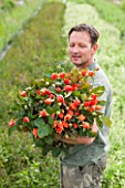THE REAL FLOWER COMPANY: ROB HOLDING A BUNCH OF ROSES - ROSA  JUST JOEY  IN THE ROSE PADDOCK. MAN, CUT, FLOWERS, CUTTING, GARDEN, SUMMER