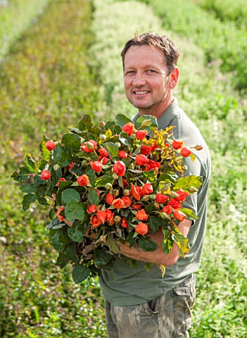THE_REAL_FLOWER_COMPANY_ROB_HOLDING_A_BUNCH_OF_ROSES__ROSA__JUST_JOEY__IN_THE_ROSE_PADDOCK_MAN_CUT_F