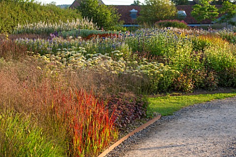 HAUSER__WIRTH_SOMERSET_THE_OUDOLF_FIELD_DURSLADE_FARM__PATH_AND_NEW_PERENNIAL_BORDER_PLANTED_BY_PIET