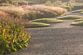 HAUSER & WIRTH, SOMERSET: THE OUDOLF FIELD, DURSLADE FARM - MIST, GRAVEL PATH PAST GRASS MOUNDS AND NEW PERENNIAL BORDERS BY PIET OUDOLF - SUNRISE, DAWN, LAWN
