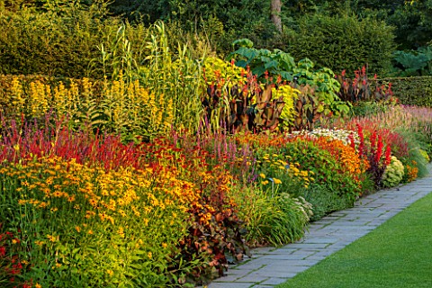 RHS_GARDEN_WISLEY_SURREY_THE_FAMOUS_DOUBLE_MIXED_BORDER_IN_SUMMER_STRETCHING_128_METRES_DOWN_THE_HIL
