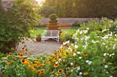 KELMARSH HALL, NORTHAMPTONSHIRE:LATE SUMMER MEADOW IN EVENING LIGHT WITH WHITE METAL BENCH,COSMOS, RUDBECKIA HIRTA, WHITE SEDUM,JASMINE ON WALL (ON LEFT).A PLACE TO SIT,SEAT,GARDEN