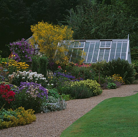 SUPERB_MIXED_BORDER_WITH_GREENHOUSE_IN_BACKGROUND_LOW_PLANTS_IN_FOREGROUND_FALL_ONTO_GRAVEL_PATH___V