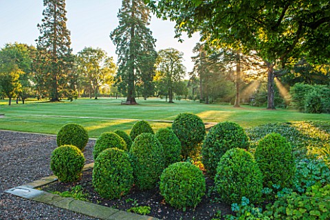 MORTON_HALL_GARDENS_WORCESTERSHIRE_VIEW_OUT_TO_PARKLAND_AT_SUNRISE__CLIPPED_TOPIARY_BOX_SHAPES_TREES
