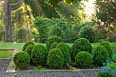 MORTON HALL GARDENS, WORCESTERSHIRE: VIEW OUT TO PARKLAND AT SUNRISE - CLIPPED TOPIARY BOX SHAPES, TREES, LAWN, SUNLIGHT, CLASSIC, GARDEN, COUNTRY, ENGLISH
