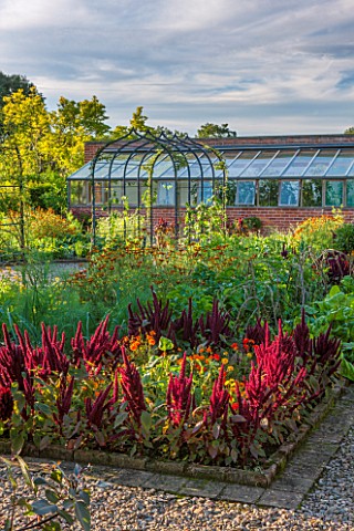 MORTON_HALL_GARDENS_WORCESTERSHIRE_KITCHEN_GARDEN_IN_LATE_SUMMER_GREENHOUSE_THE_HALL_BEDS_WITH_DARK_