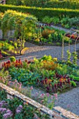 MORTON HALL GARDENS, WORCESTERSHIRE: VIEW KITCHEN GARDEN IN LATE SUMMER. BEDS WITH AMARANTHUS, CALENDULA. WALL, WALLED, COUNTRY, HOUSE, CLASSIC, VEGETABLE, ARCH, DAHLIAS, DARK, RED