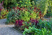 MORTON HALL GARDENS, WORCESTERSHIRE: KITCHEN GARDEN IN LATE SUMMER. BEDS WITH AMARANTHUS, CALENDULA. WALL, WALLED, COUNTRY, HOUSE, CLASSIC, VEGETABLE, ARCH, DAHLIAS, DARK, RED