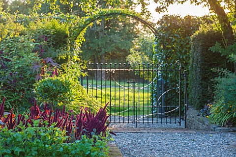 MORTON_HALL_GARDENS_WORCESTERSHIRE_KITCHEN_GARDEN_IN_LATE_SUMMER_BEDS_WITH_AMARANTHUS_METAL_GATE_WAL