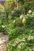THE OLD BAKEHOUSE, SHERE, SURREY: SMALL TOWN GARDEN, GREEN, YUCCA, HYDRANGEA ARBORESCENS ANNABELLE, BORDER