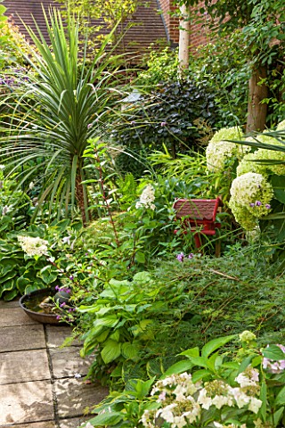 THE_OLD_BAKEHOUSE_SHERE_SURREY_SMALL_TOWN_GARDEN_GREEN_YUCCA_HYDRANGEA_ARBORESCENS_ANNABELLE_BORDER