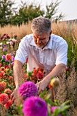 ASTON POTTERY, OXFORDSHIRE: OWNER STEPHEN BAUGHAN CUTTING DAHLIA FLOWERS IN HIS GARDEN: