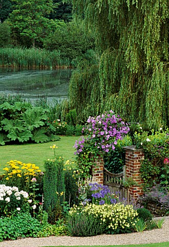 VIEW_TO_RIVER_WILLOW_IN_BG_GARDEN_GATE_WITH_CLEMATISPERLE_DAZUR__YELLOW__WHITE_BORDER_IN_FG_VALE_END