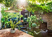 ABIGAIL AHERN HOUSE, LONDON: TOWN GARDEN WITH TABLE, CHAIRS, LIGHT, FIREPLACE, FAUX CACTUS