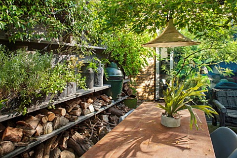 ABIGAIL_AHERN_HOUSE_LONDON_TOWN_GARDEN_WITH_TABLE_CHAIRS_LIGHT_STAGHORN_PLANT_IN_CONTAINER_OUTDOOR_K