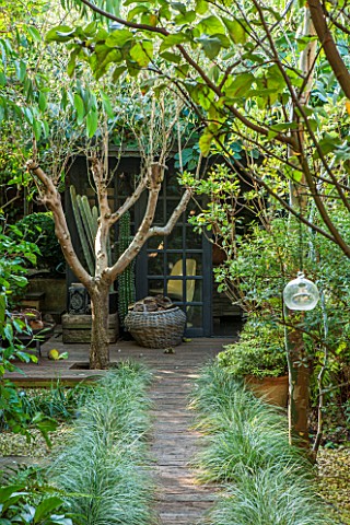 ABIGAIL_AHERN_HOUSE_LONDON_TOWN_GARDEN_WITH_FAUX_WOODEN_PATH_TO_CABIN_TYPE_SHED_FAUX_CACTUS_LATE_SUM