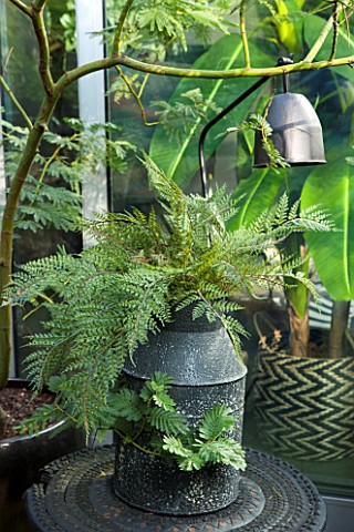 ABIGAIL_AHERN_HOUSE_LONDON_REAL_AND_FAUX_PLANTS_IN_AND_AROUND_CONTAINER_ON_PATIO__OUTDOOR_GREEN_SPAC