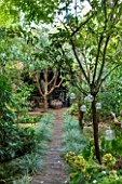 ABIGAIL AHERN HOUSE, LONDON: WOODLAND TOWN GARDEN , FAUX WOOD PATH, CABIN TYPE SHED, GREEN, OASIS, LATE SUMMER